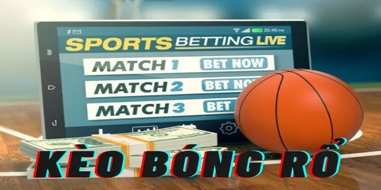 Hướng Dẫn Tìm Hiểu Và Tham Gia Cá Cược Bóng Rổ Tại VINBET Hiệu Quả 2 Hướng Dẫn Tìm Hiểu Và Tham Gia Cá Cược Bóng Rổ Tại VINBET Hiệu Quả