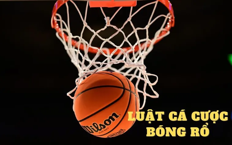 Bóng Rổ VN88 Dẫn Dắt Bạn Qua Từng Trận Cược Hấp Dẫn 2 Bóng Rổ VN88 Dẫn Dắt Bạn Qua Từng Trận Cược Hấp Dẫn