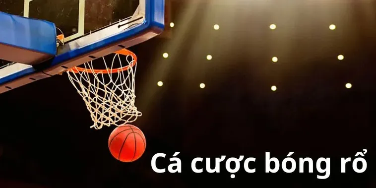 Tìm Hiểu Cá Cược Bóng Rổ VL88: Giải Thích Và Dẫn Chứng